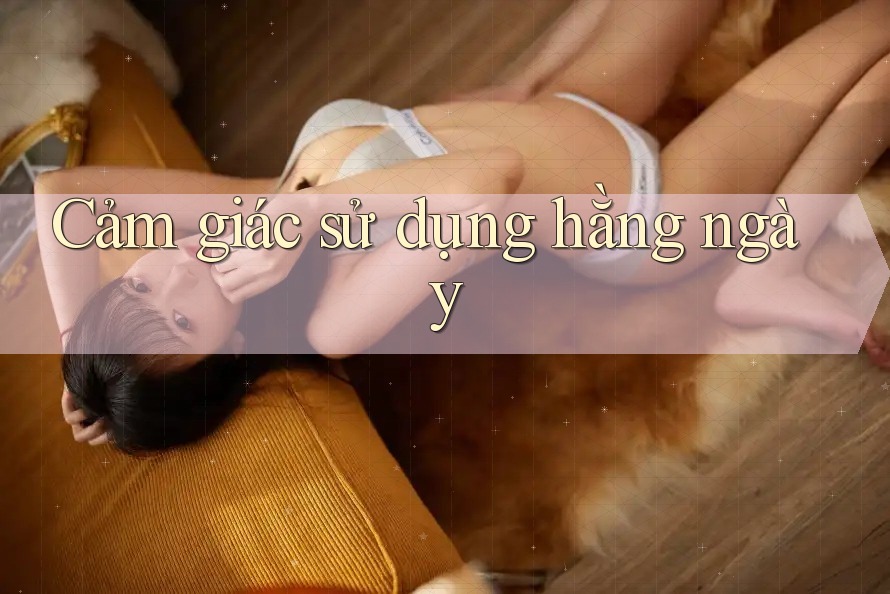 Cảm giác sử dụng hàng ngày Cảm giác sử dụng hàng ngày