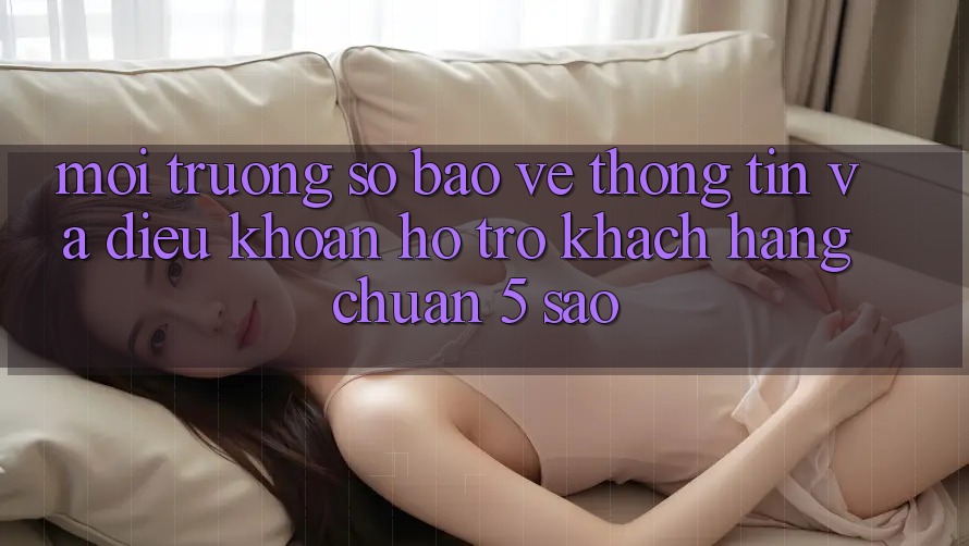 Môi trường số bảo vệ thông tin và điều khoản hỗ trợ khách hàng chuẩn 5 sao Môi trường số bảo vệ thông tin và điều khoản hỗ trợ khách hàng chuẩn 5 sao