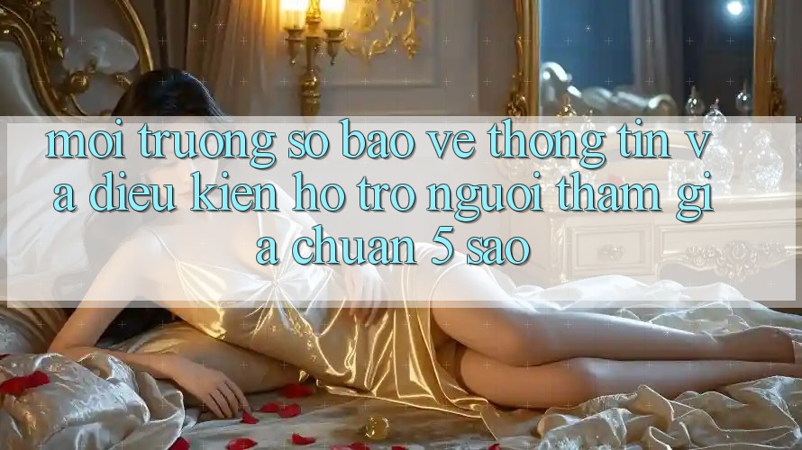 Môi trường số bảo vệ thông tin và điều kiện hỗ trợ người tham gia chuẩn 5 sao Môi trường số bảo vệ thông tin và điều kiện hỗ trợ người tham gia chuẩn 5 sao