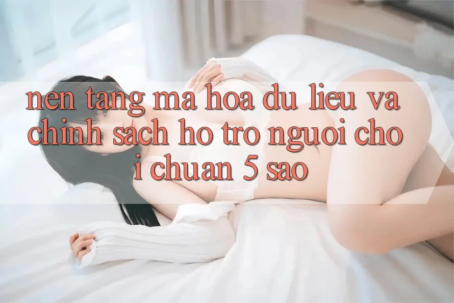 Nền tảng mã hóa dữ liệu và chính sách hỗ trợ người chơi chuẩn 5 sao Nền tảng mã hóa dữ liệu và chính sách hỗ trợ người chơi chuẩn 5 sao