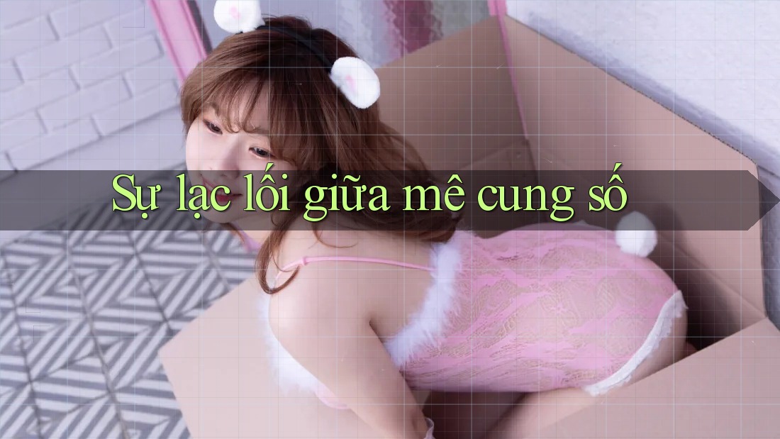 Sự lạc lối giữa mê cung số Sự lạc lối giữa mê cung số