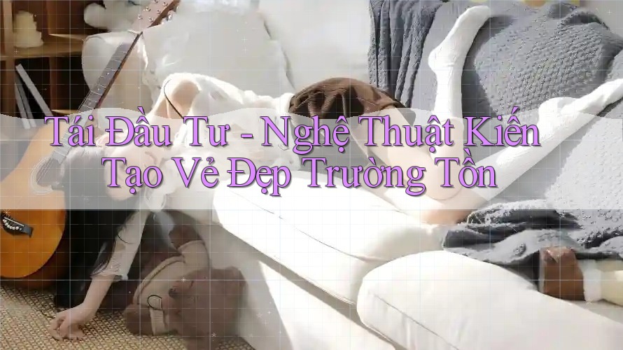Tái Đầu Tư - Nghệ Thuật Kiến Tạo Vẻ Đẹp Trường Tồn Tái Đầu Tư - Nghệ Thuật Kiến Tạo Vẻ Đẹp Trường Tồn